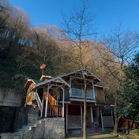Dream Homes Masukiye