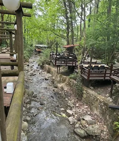 فندق Dream Homes