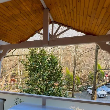 فندق Dream Homes