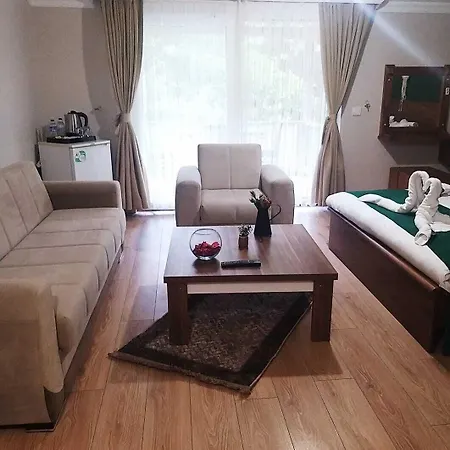 Dream Homes فندق