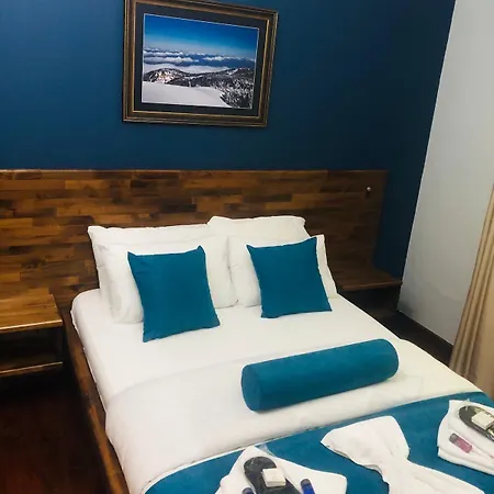 فندق Dream Homes *