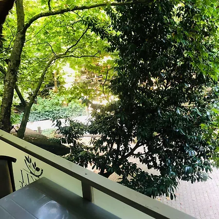 فندق Dream Homes ديربنت